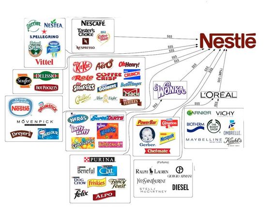 Nestle 8 actions diversifiées offrant croissance et rendement
